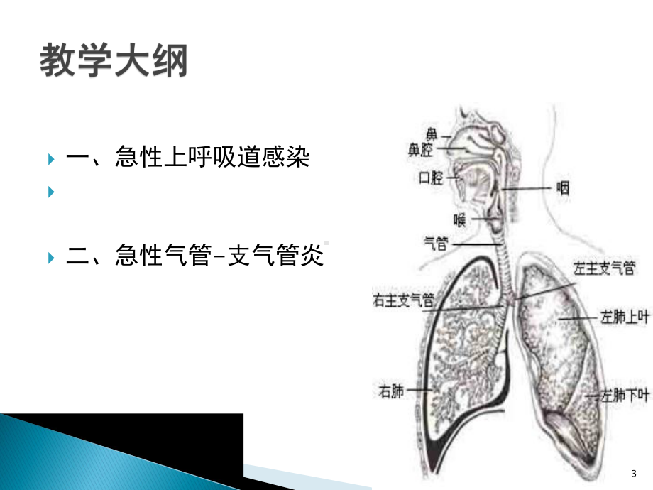 内科护理学急性呼吸道感染-ppt课件.ppt_第3页