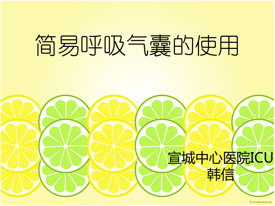 简易呼吸气囊的使用(PPT课件).ppt_第1页