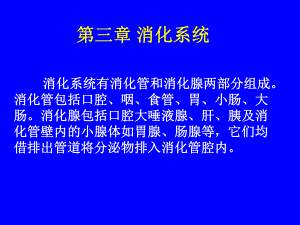 第03 04 05 06消化、呼吸、泌尿、生殖系统课件.ppt