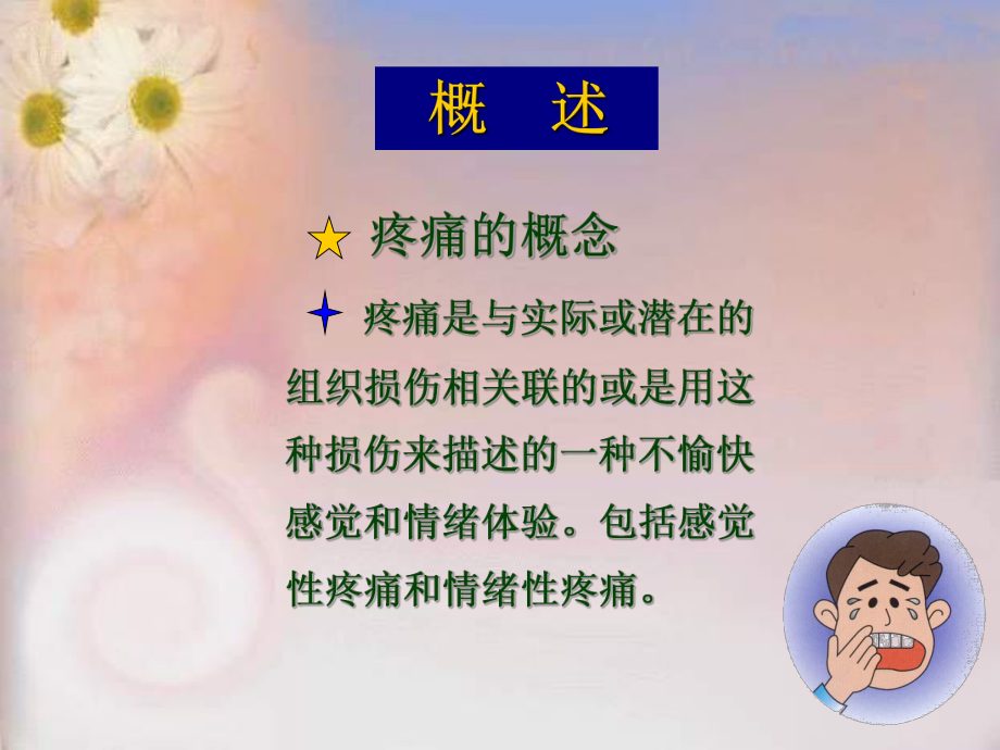 牙疼痛机制ppt课件.ppt_第2页