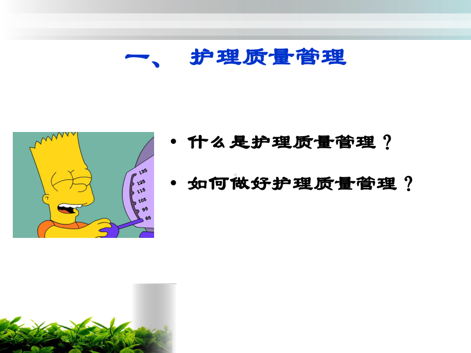 老年患者日常护理工作的监管评估课件.ppt_第2页