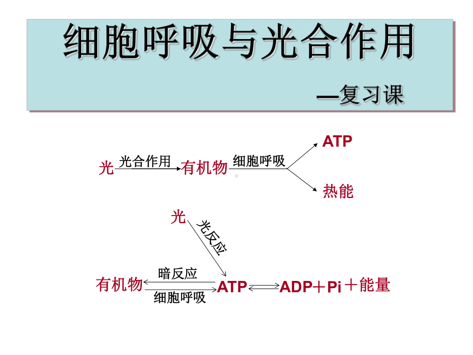 光合作用和呼吸作用复习课-PPT课件.ppt_第1页