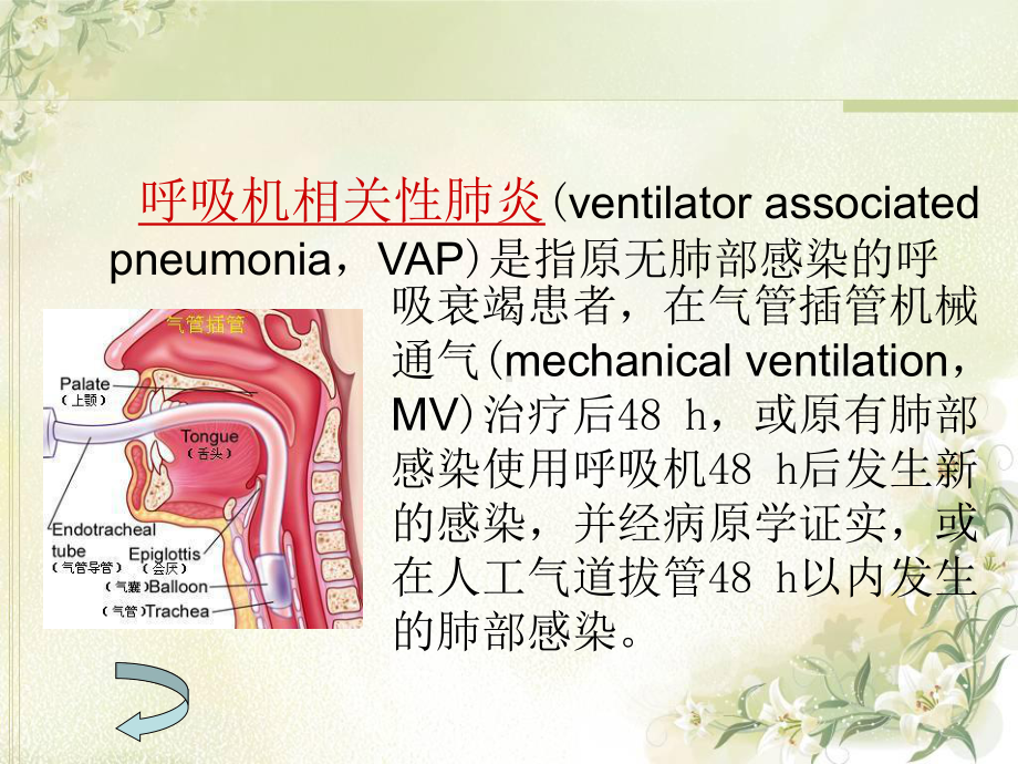 呼吸机相关性肺炎的预防及护理ppt课件.ppt_第3页