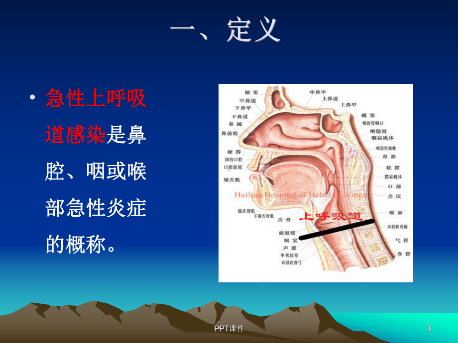 急性呼吸道感染病人的护理-ppt课件.ppt_第3页