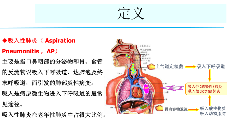 老年吸入性肺炎的诊治与预防.ppt课件.ppt_第3页