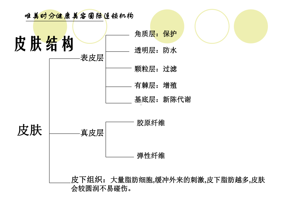 皮肤护理基础知识培训-PPT课件-1.ppt_第3页