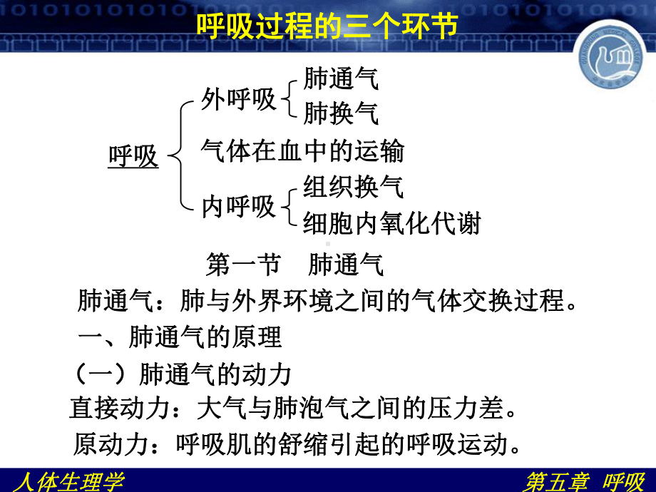 人体生理学-第五篇-呼吸课件.ppt_第2页