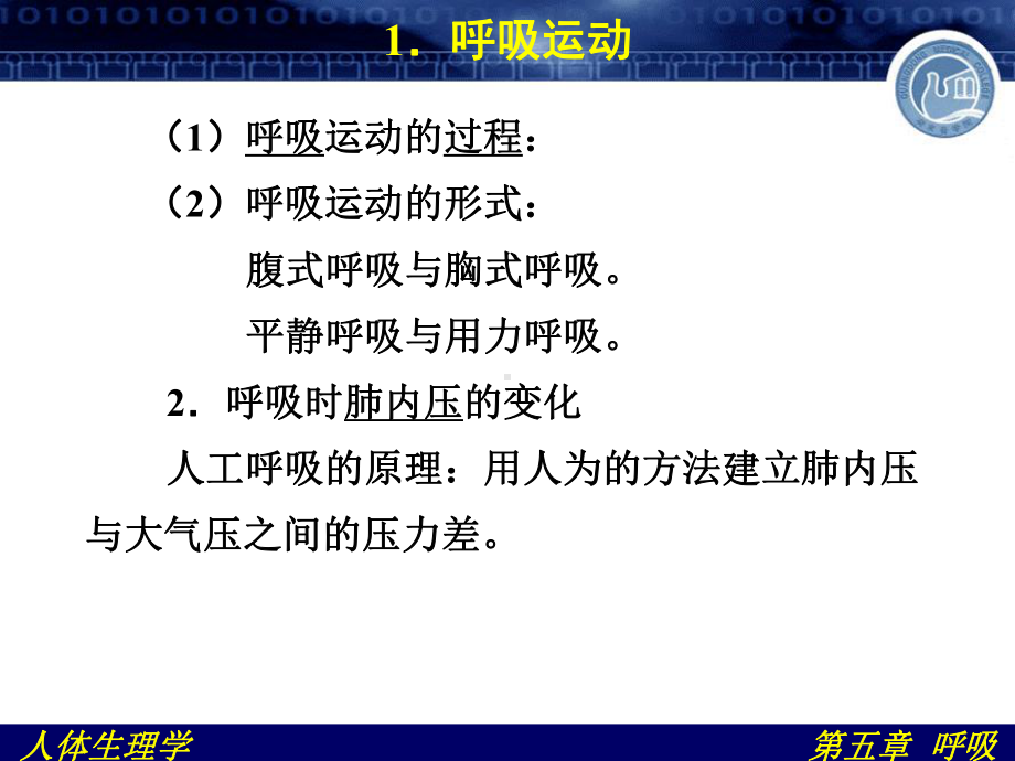 人体生理学-第五篇-呼吸课件.ppt_第3页