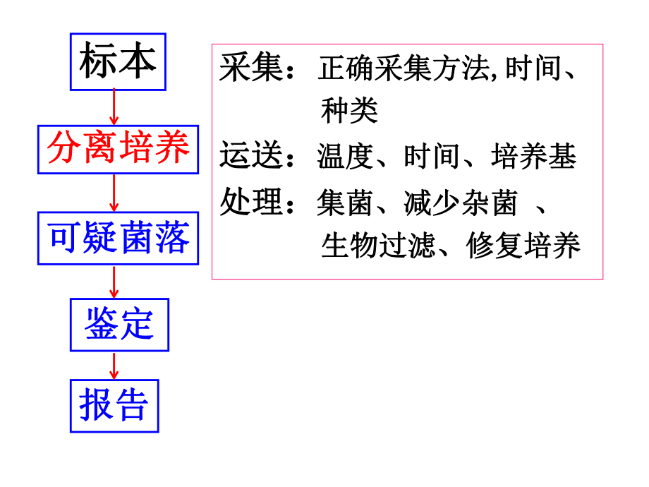 病原性病菌的分离鉴定及提高检出率-PPT课件.ppt_第3页