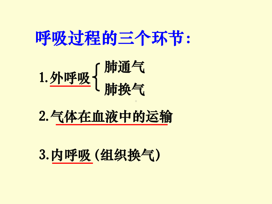 生理学-呼吸课件.ppt_第3页