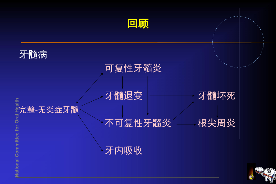 牙髓病和根尖周病的治疗-ppt课件.ppt_第2页