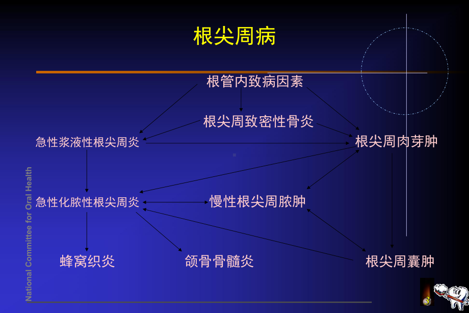 牙髓病和根尖周病的治疗-ppt课件.ppt_第3页