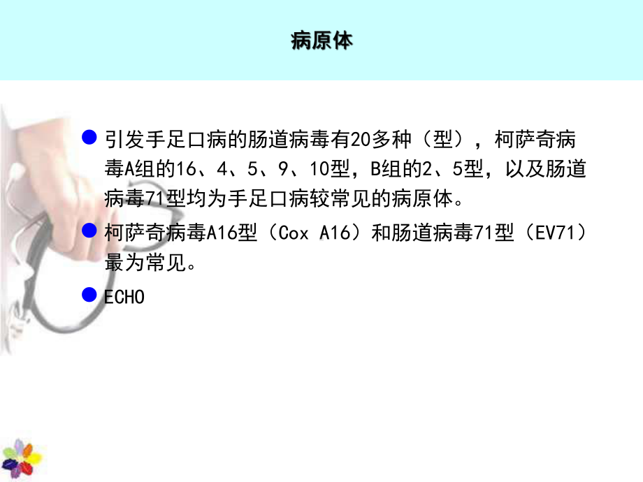 《传染病学》手足口病-ppt课件.ppt_第3页