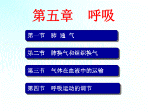 （医学PPT课件）呼吸.ppt