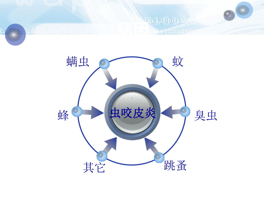 医学课件虫咬皮炎专业知识讲座.ppt_第2页