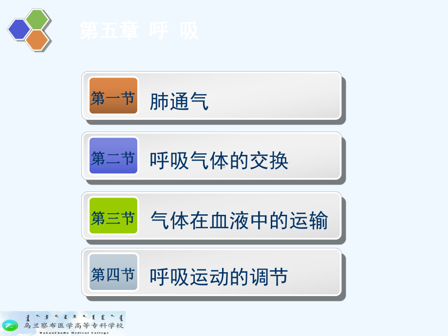 生理学-第五章-呼吸课件.ppt_第2页