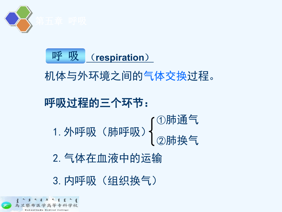 生理学-第五章-呼吸课件.ppt_第3页