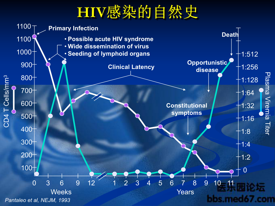 艾滋病流行形势与防治策略 课件.ppt_第3页