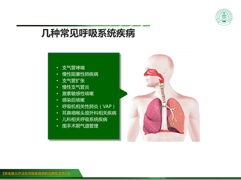 雾化吸入在呼吸系统疾病中的应用课件.pptx_第2页