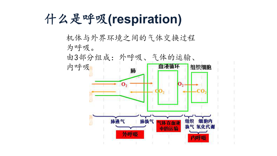 急性呼吸衰竭46页PPT课件.pptx_第2页