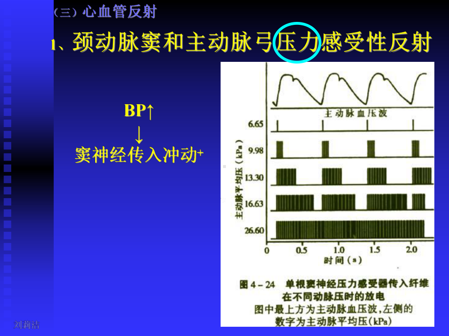 生理学课件-呼吸(人卫第七版)[1]1.ppt_第3页