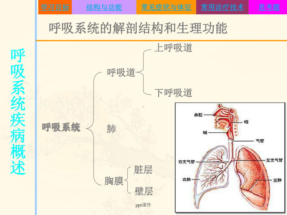 《内科护理学》呼吸系统疾病患者的护理-ppt课课件.ppt_第3页