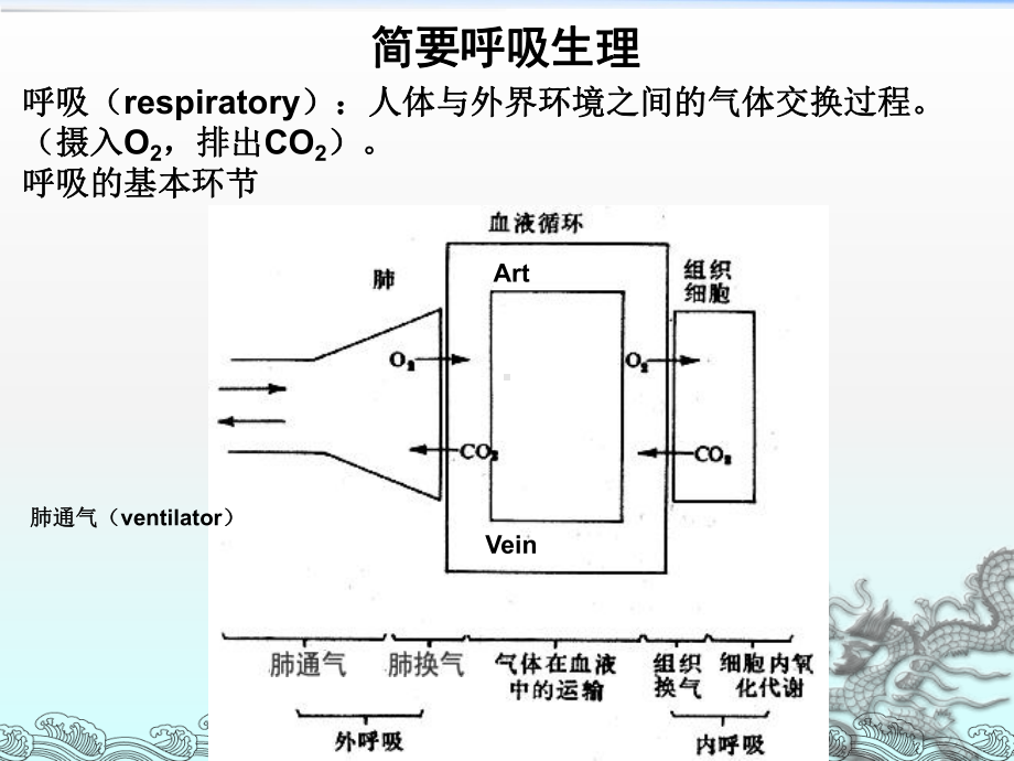 呼吸机培训课件.ppt_第3页