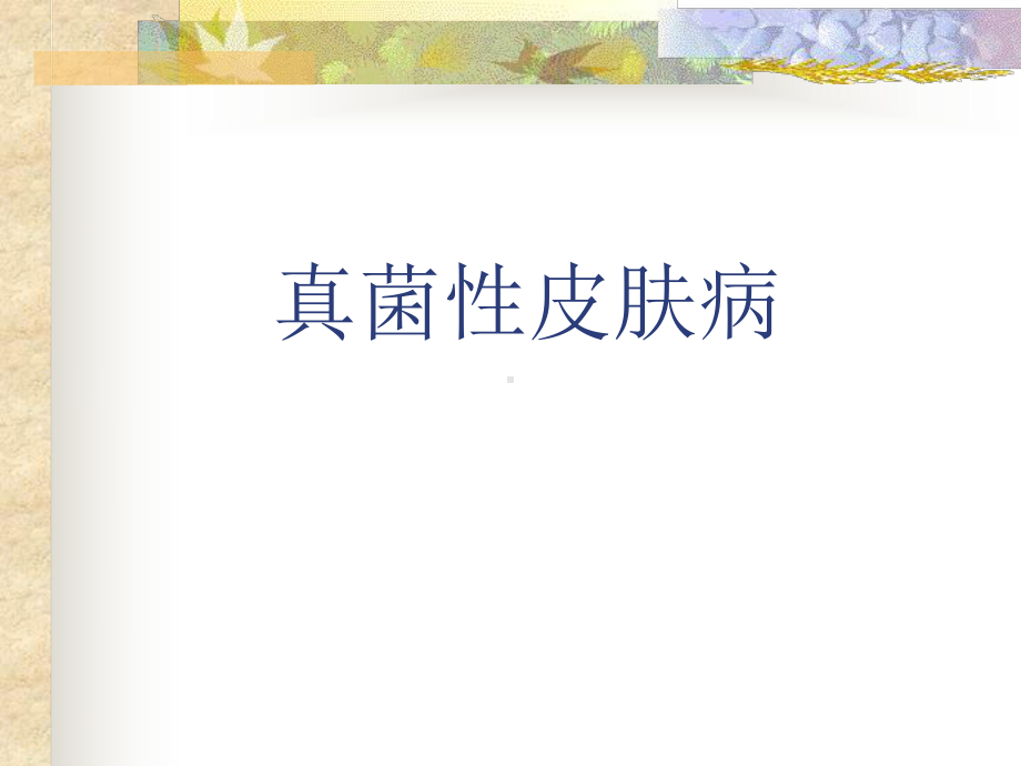 真菌性皮肤病-PPT课件.ppt_第1页