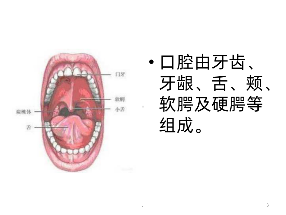 口腔护理技术课件.ppt_第3页