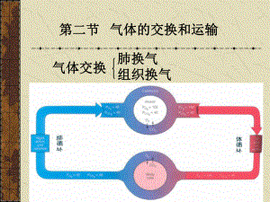 大学生理学呼吸2课件.ppt