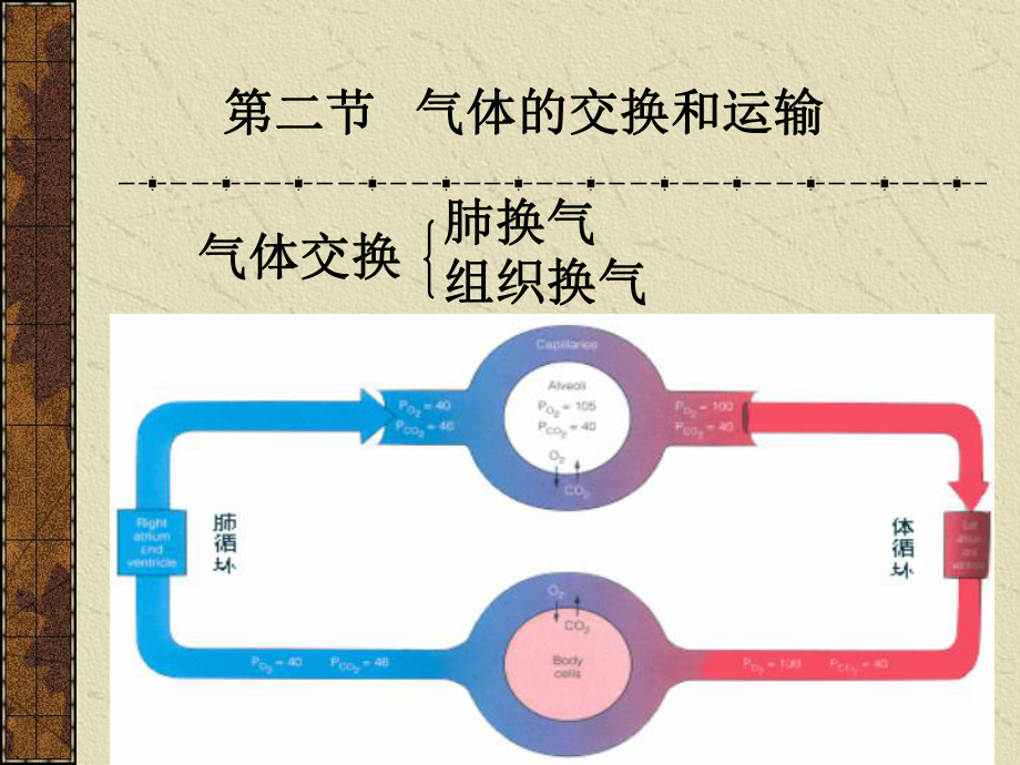 大学生理学呼吸2课件.ppt_第1页