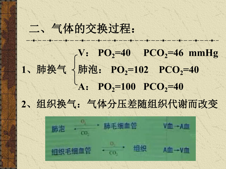 大学生理学呼吸2课件.ppt_第3页