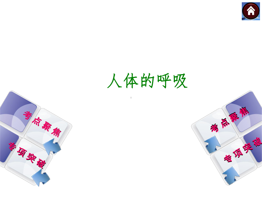 人的呼吸 ppt课件.ppt_第1页