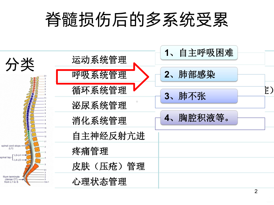 脊髓损伤后呼吸功能障碍PPT课件.ppt_第2页