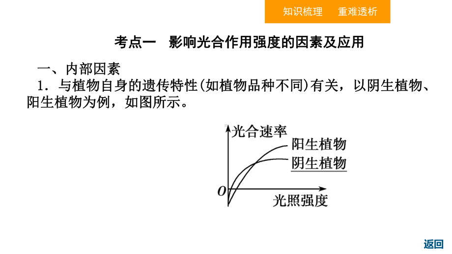 人教版高中生物必修一光合作用与呼吸作用的关系复习用课件.ppt_第3页