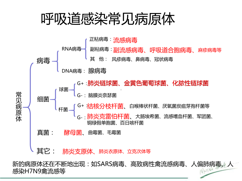 医学课件呼吸道病原体检测在临床中的应用.ppt_第3页