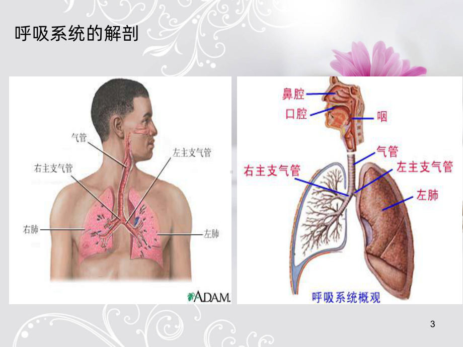 呼吸衰竭的急救护理.PPT课件.ppt_第3页