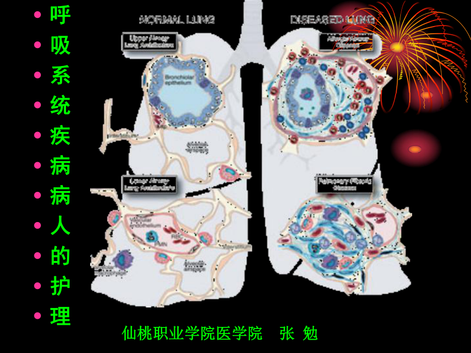 呼吸系统一般护理和常见症状课件.ppt_第1页