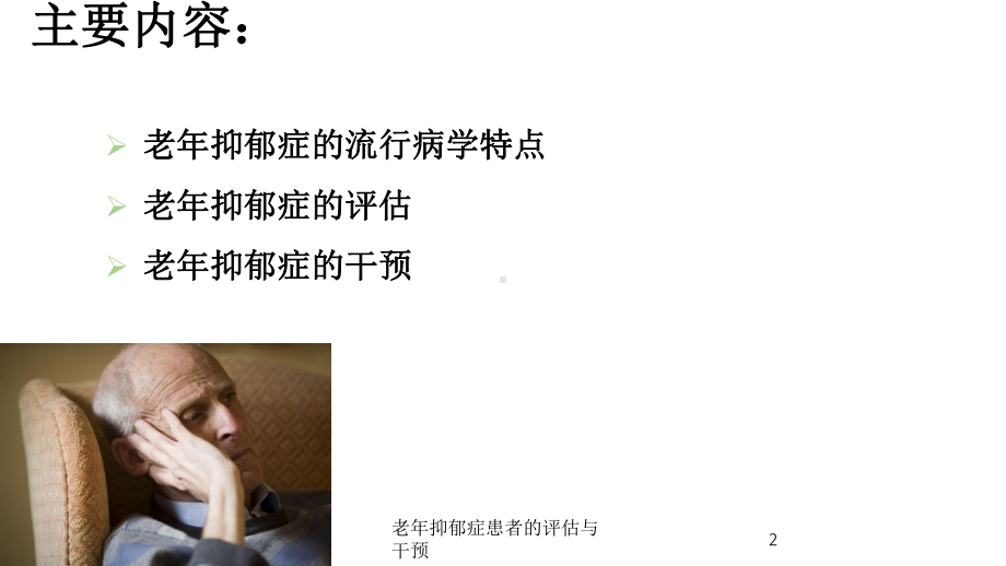 老年抑郁症患者的评估与干预培训课件.ppt_第2页