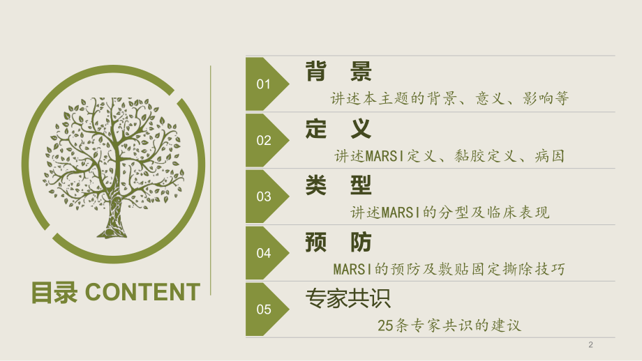 MARSI-医用黏胶相关皮肤损伤医学PPT课件.pptx_第2页