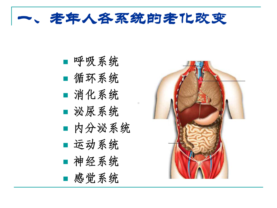 老年人常见健康问题及护理课件.ppt_第2页