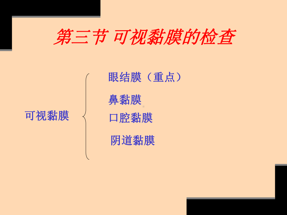 体温脉搏呼吸数的测定课件.ppt_第2页