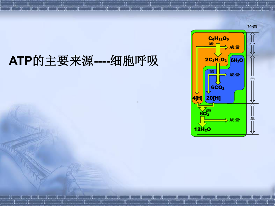 细胞呼吸说课稿精品PPT课件.ppt_第1页