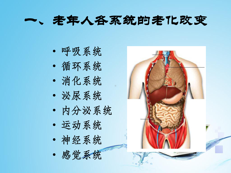 老年人常见健康问题与护理课件.ppt_第2页