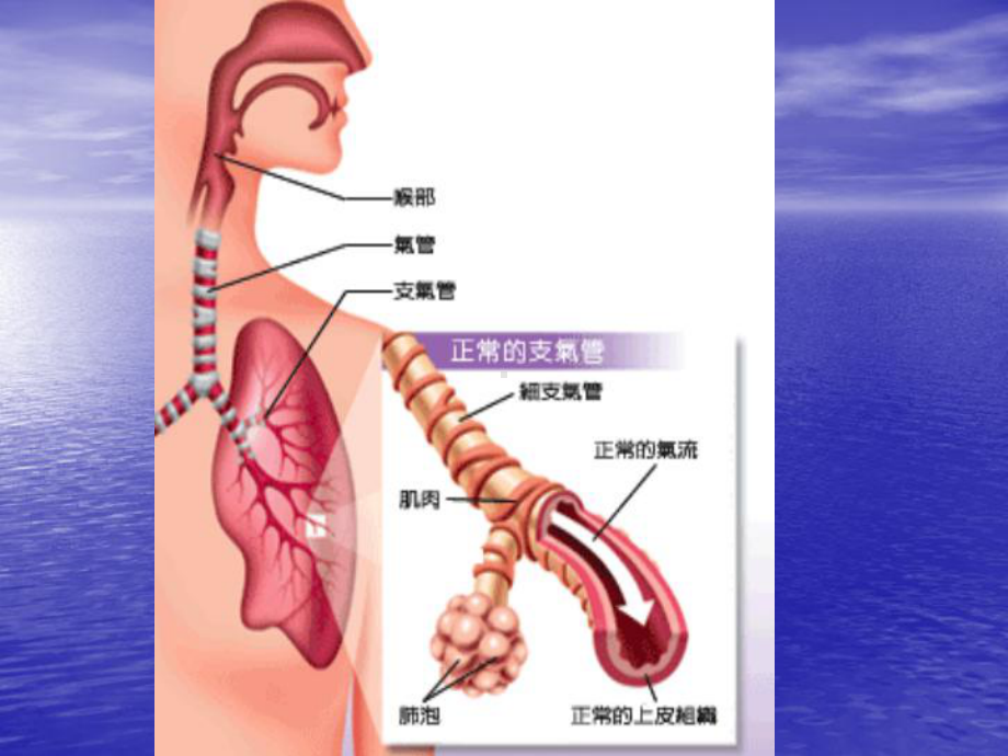 儿童呼吸道疾病.课件.ppt_第2页