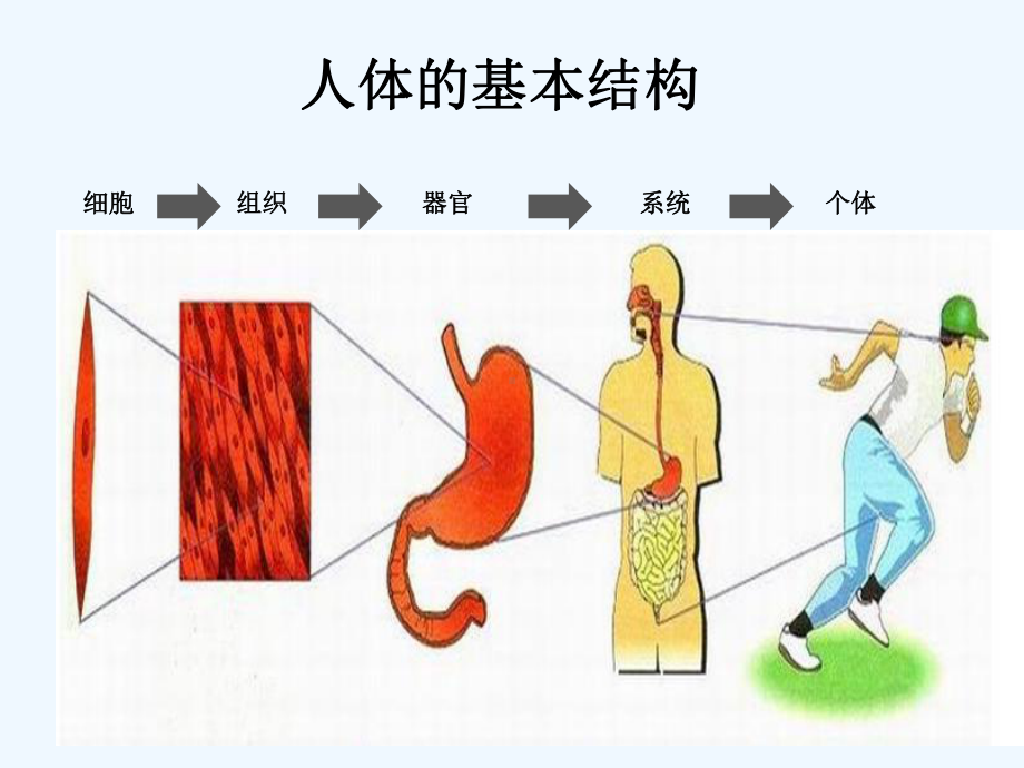 老年人护理基础知识培训课件.ppt_第3页