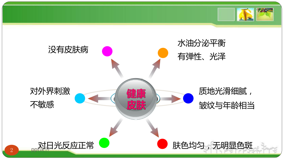 敏感性皮肤及其修复策略（皮肤科）-ppt课件.ppt_第2页