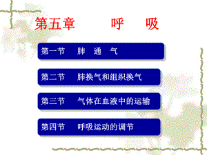 生理学课件-呼吸 (2).ppt