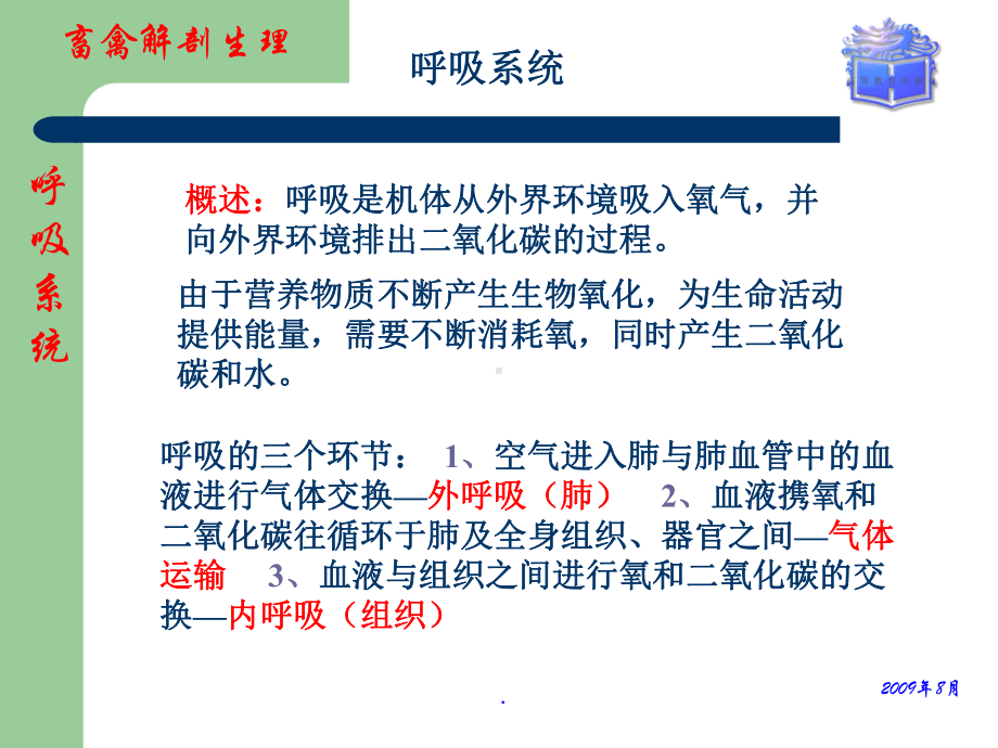 畜禽解剖生理第6章呼吸系统课件.ppt_第2页