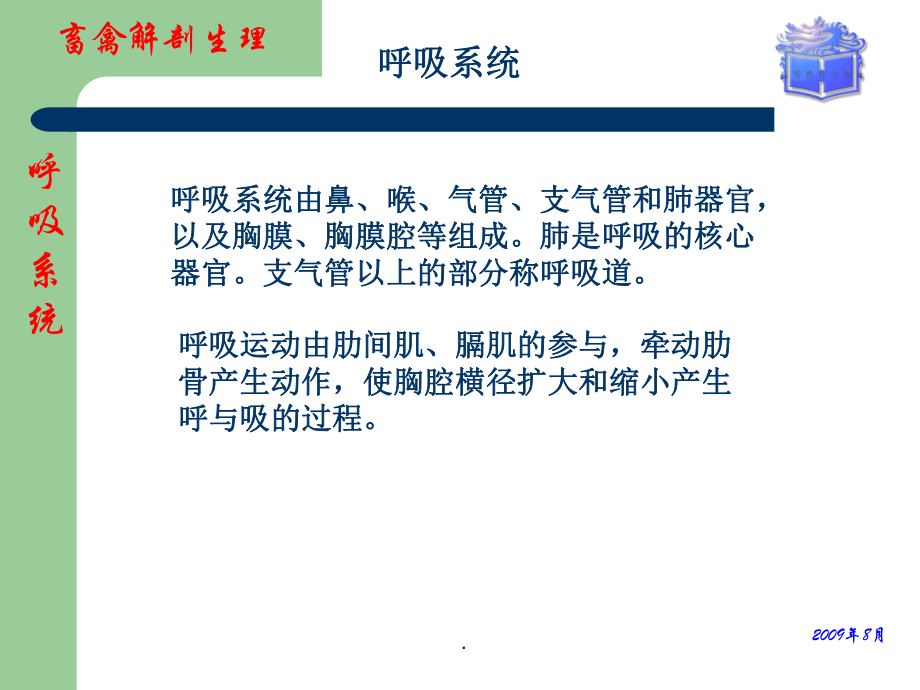 畜禽解剖生理第6章呼吸系统课件.ppt_第3页